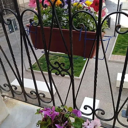 Гостевой дом Piazza Ginnasio